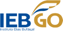 IEB